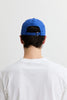 Bird Hat - Blue